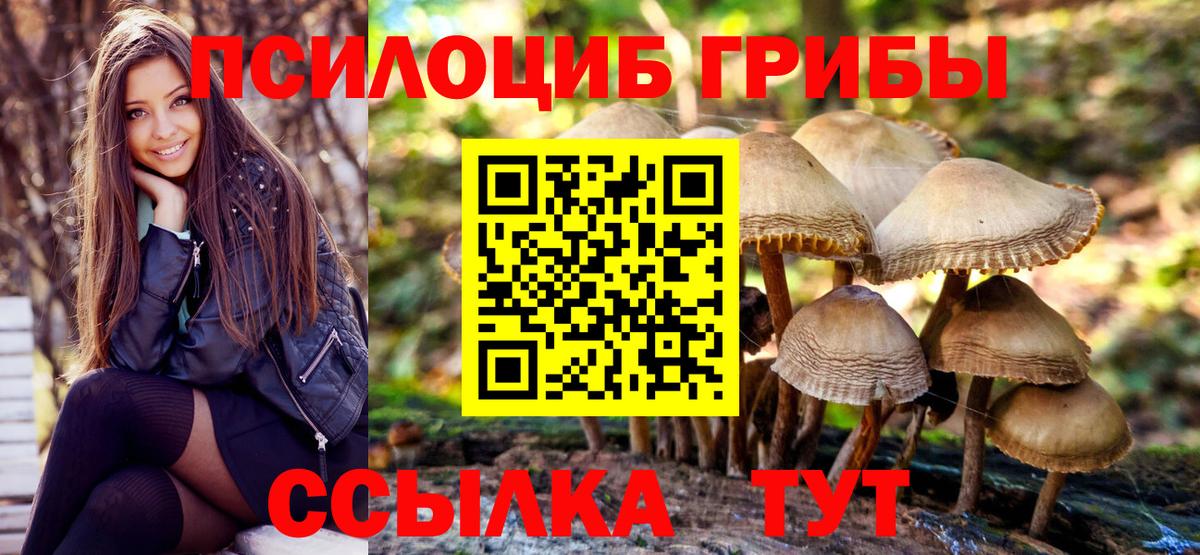 Псилоцибиновые грибы мухоморы  Вход с VPN  Псилоцибиновые грибы MAGIC MUSHROOMS  Асбест 